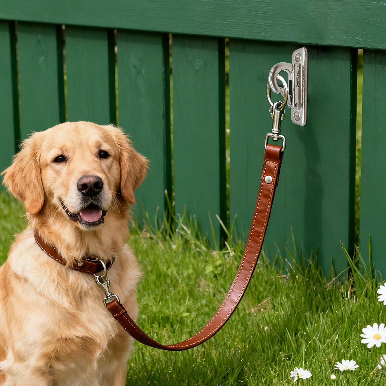 Dog Leashes Holder for Wall Pe - Security Chain Door ulasan dan harga